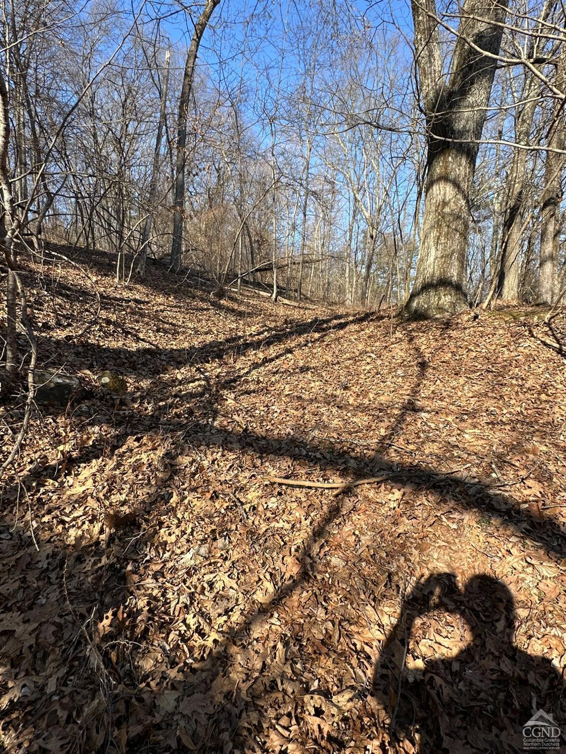 0 Buttermilk Falls Road Athens, NY 12015 - Photo 3 of 17 Photo 3