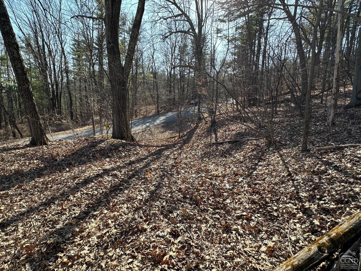 0 Buttermilk Falls Road Athens, NY 12015 - Photo 4 of 17 Photo 4