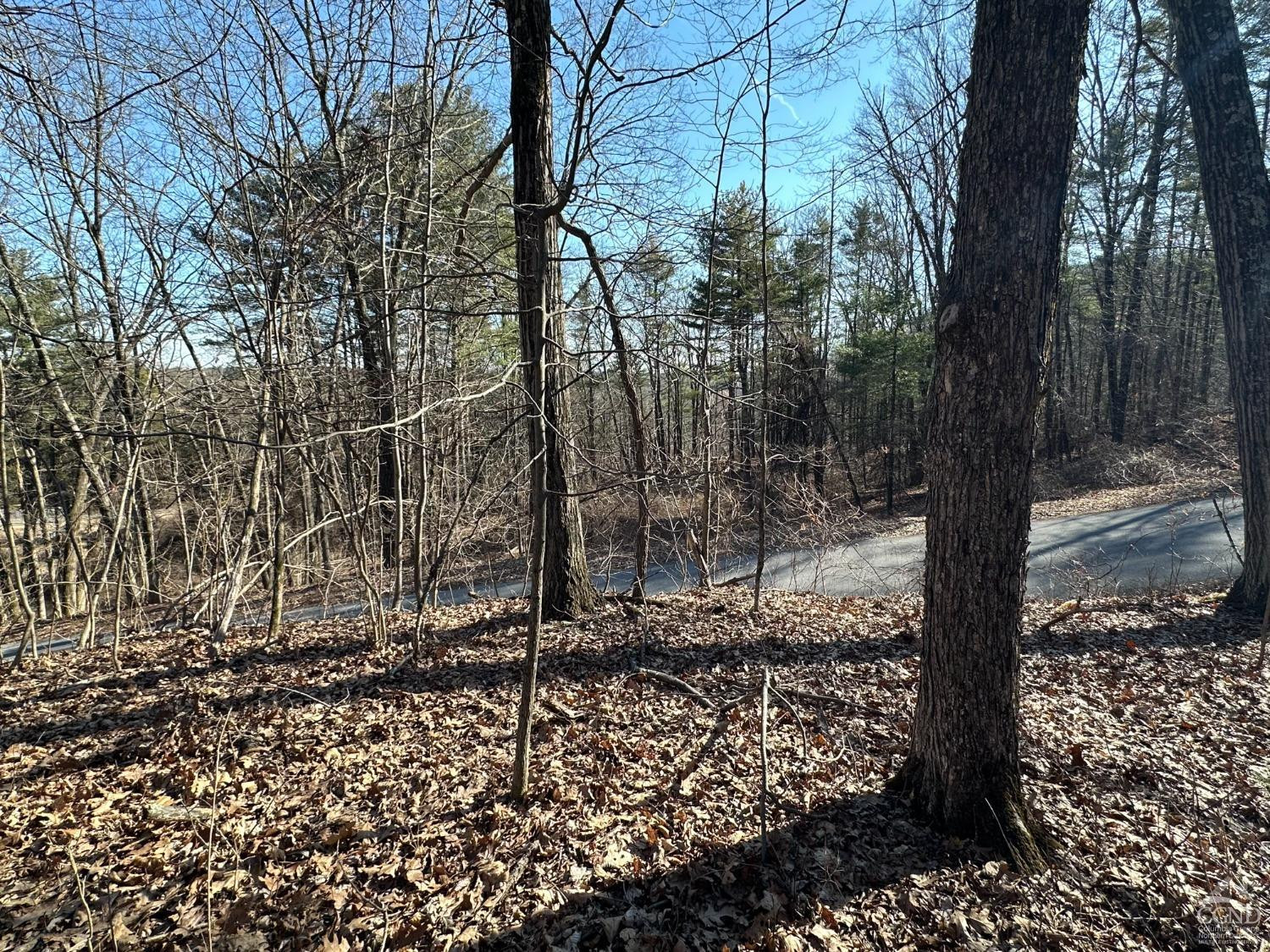 0 Buttermilk Falls Road Athens, NY 12015 - Photo 5 of 17 Photo 5
