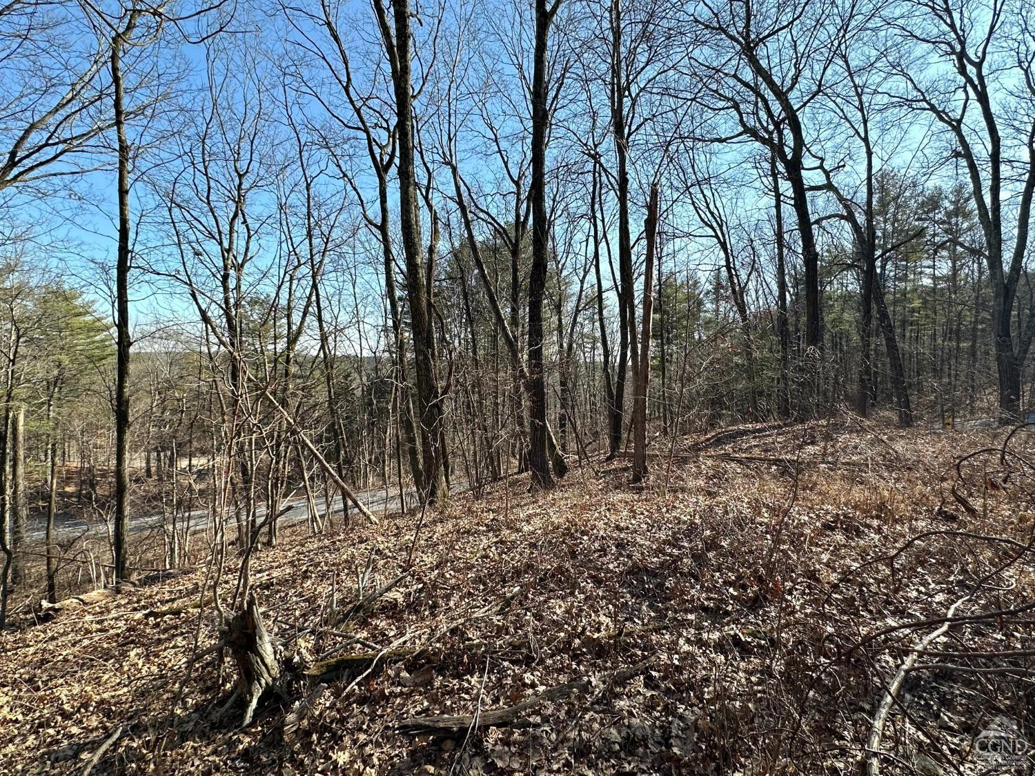 0 Buttermilk Falls Road Athens, NY 12015 - Photo 7 of 17 Photo 7