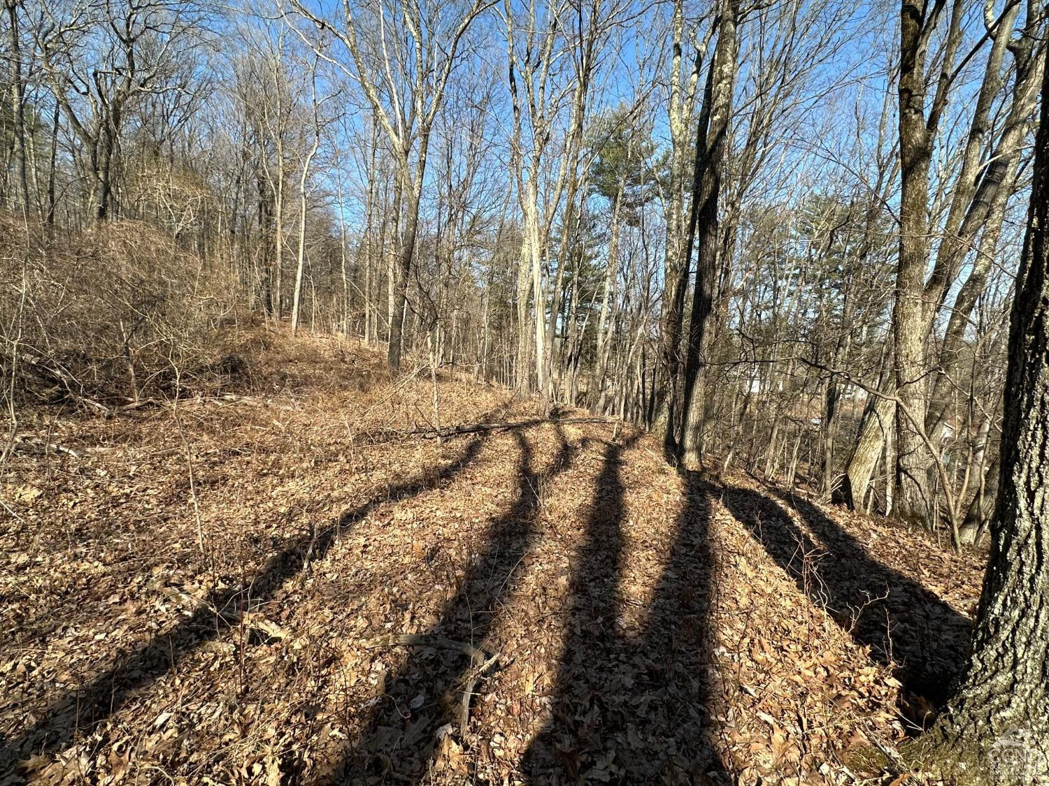 0 Buttermilk Falls Road Athens, NY 12015 - Photo 8 of 17 Photo 8