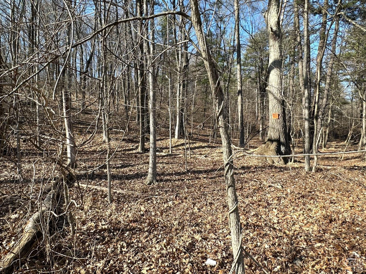 0 Buttermilk Falls Road Athens, NY 12015 - Photo 10 of 17 Photo 10