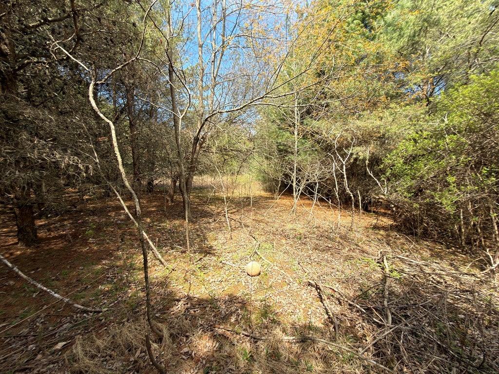 Tbd Pine Branch Road, Unit 7 & 8 Laurel Fork, VA 24352 - Photo 10 of 25 Gallery Image 10