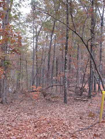 Lot 2 High Falls Road, Unit LOT 2 LOW COUNTRY Seneca, SC 29672 - Photo 2 of 7 Gallery Image 2