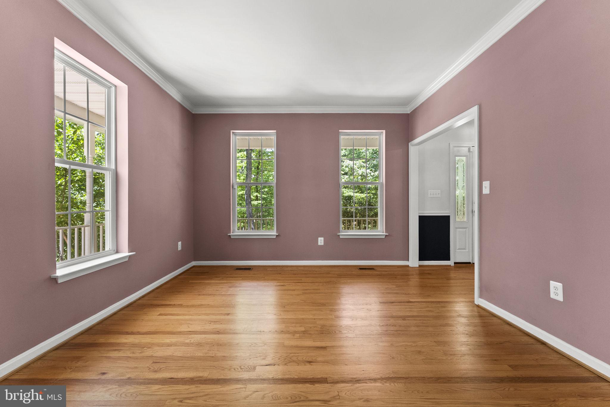 10275 Mountain Run Lake Road Culpeper, VA 22701 - Photo 22 of 89