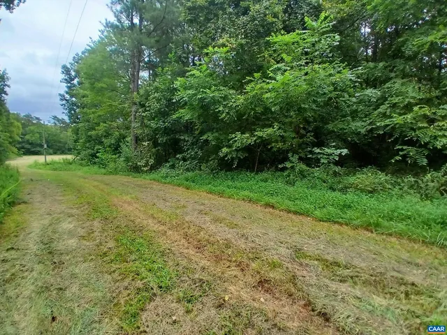 $50,000 | 0 Randolph Creek Road, New Canton, VA 23123