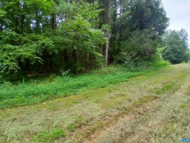 $50,000 | 0 Randolph Creek Road, New Canton, VA 23123