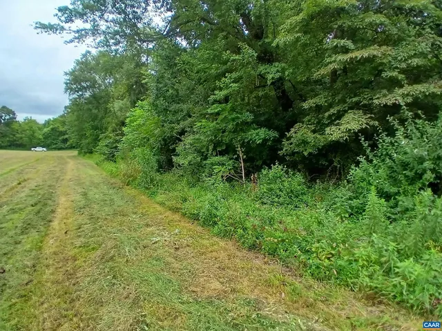 $50,000 | 0 Randolph Creek Road, New Canton, VA 23123