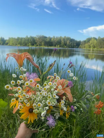 $50,000 | 0 Randolph Creek Road, New Canton, VA 23123