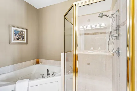 a bathroom with a bathtub and a shower
