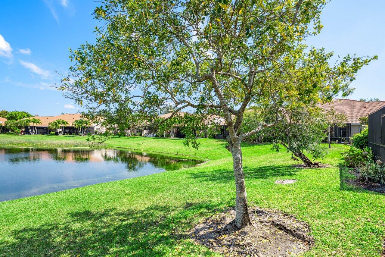 23069 Addison Lakes Circle Boca Raton, FL 33433 - Photo 22 of 26 a view of a garden with a lake