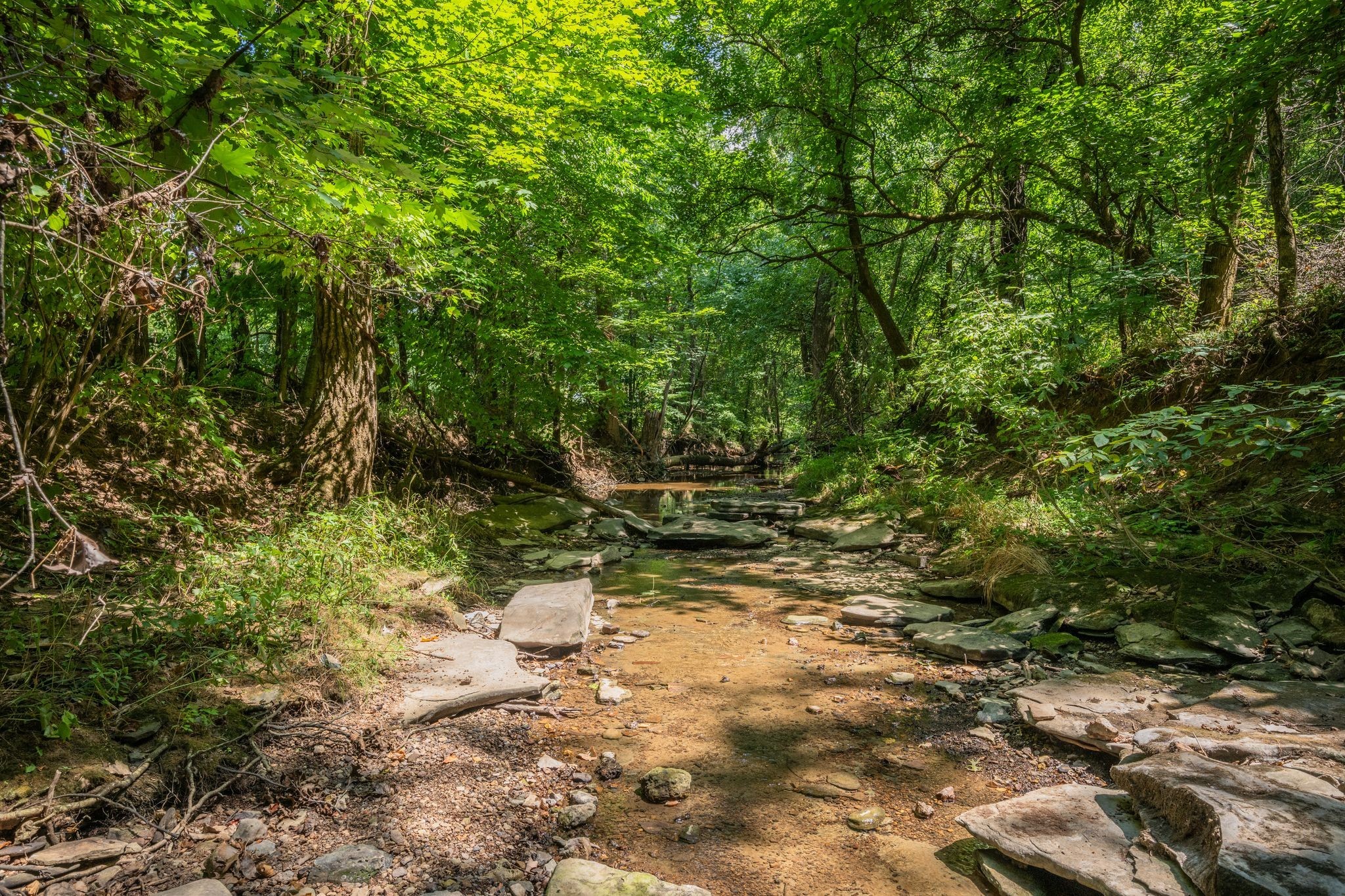 2290 Osburn Road Nolensville, TN 37135 - Photo 69 of 70