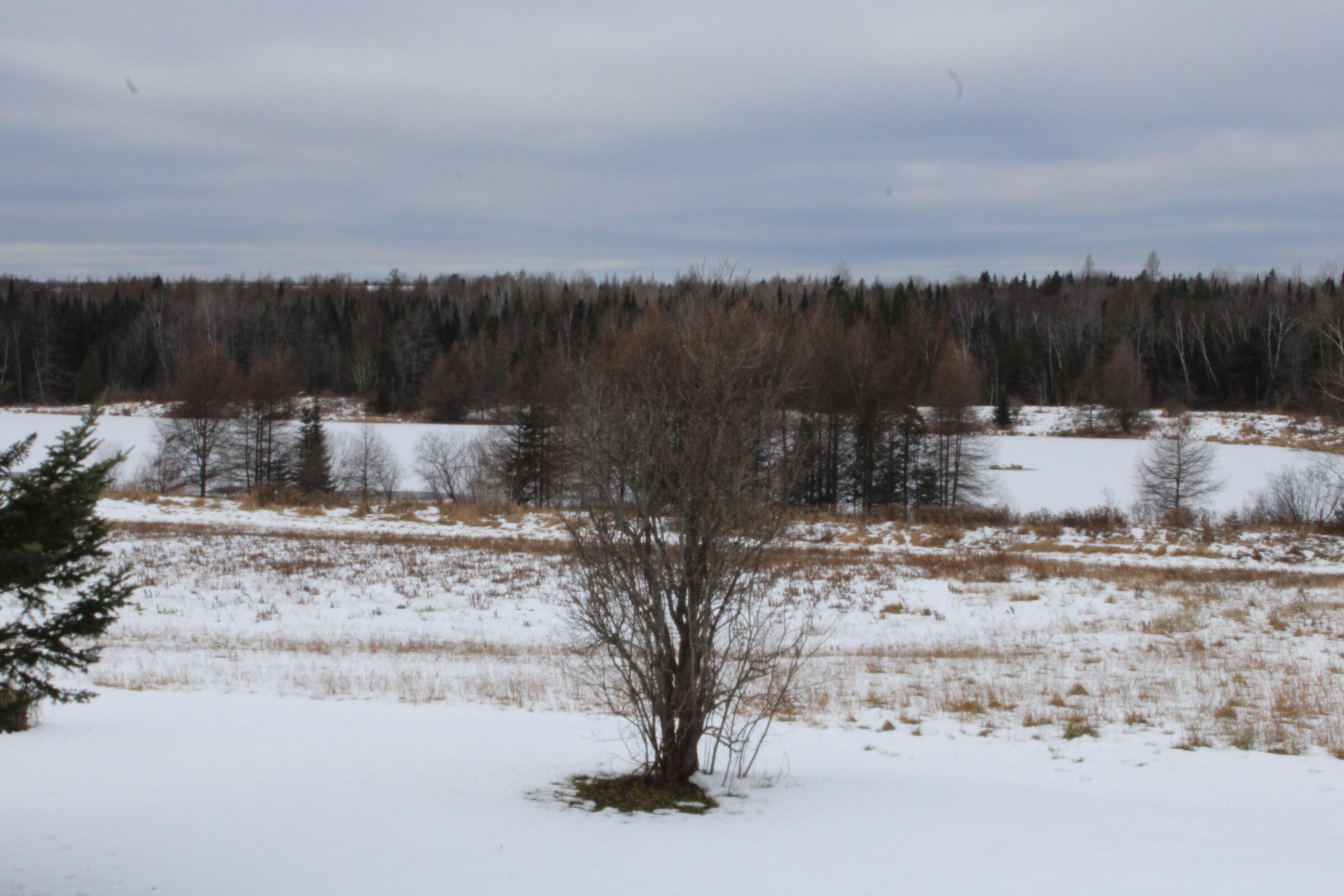 385 Carson Road Woodland, ME 04736 - Photo 7 of 36