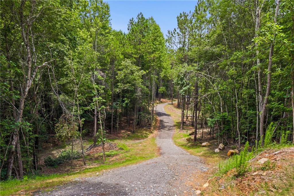 Lot 1 Pete Path Dallas, GA 30157 - Photo 7 of 21