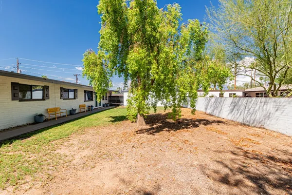 a view of a backyard with a tree