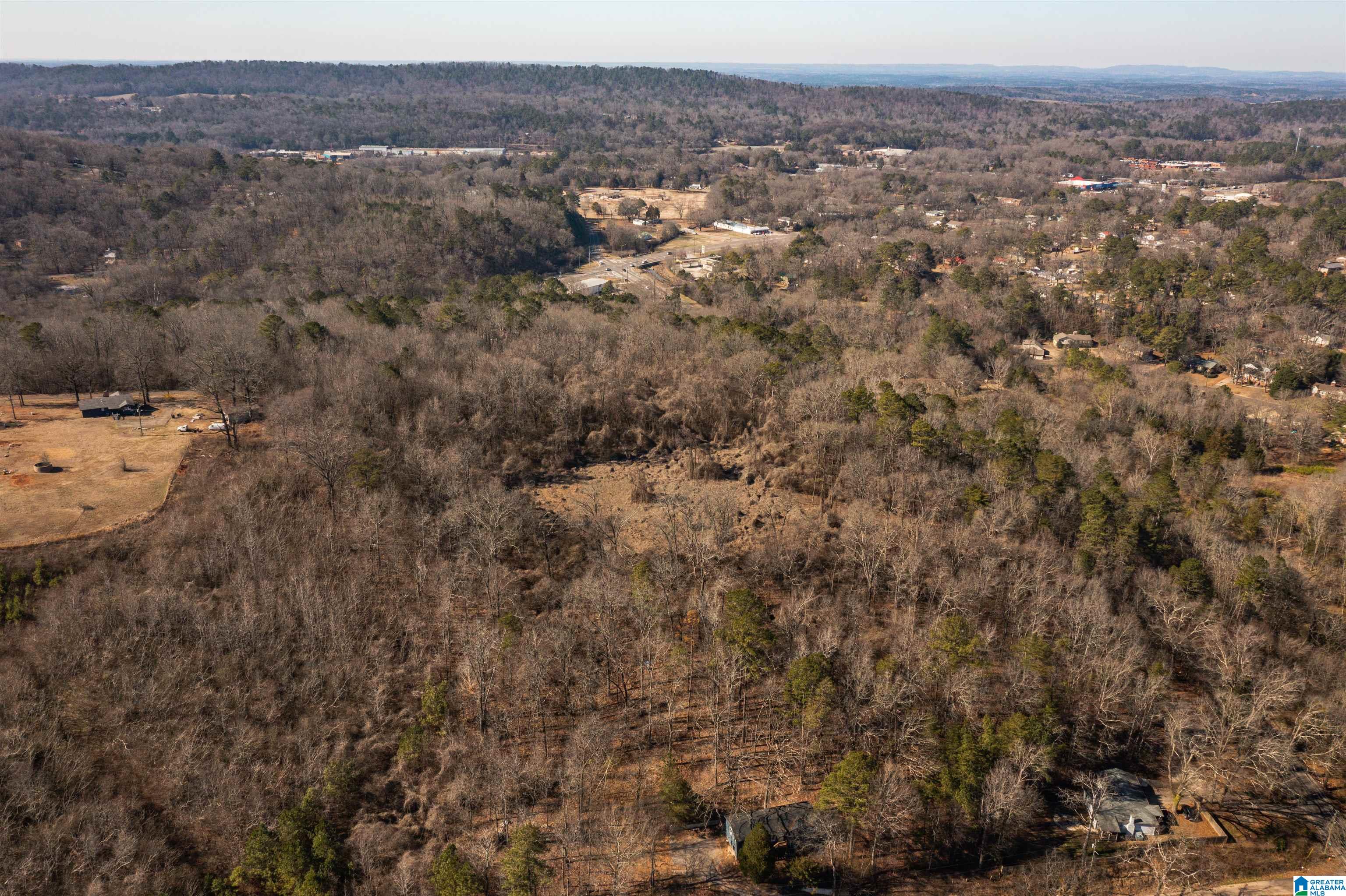 4392 Buzbee Road, Unit 1 Pinson, AL 35126 - Photo 5 of 27
