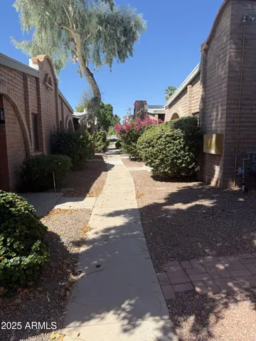 a view of a backyard with plants
