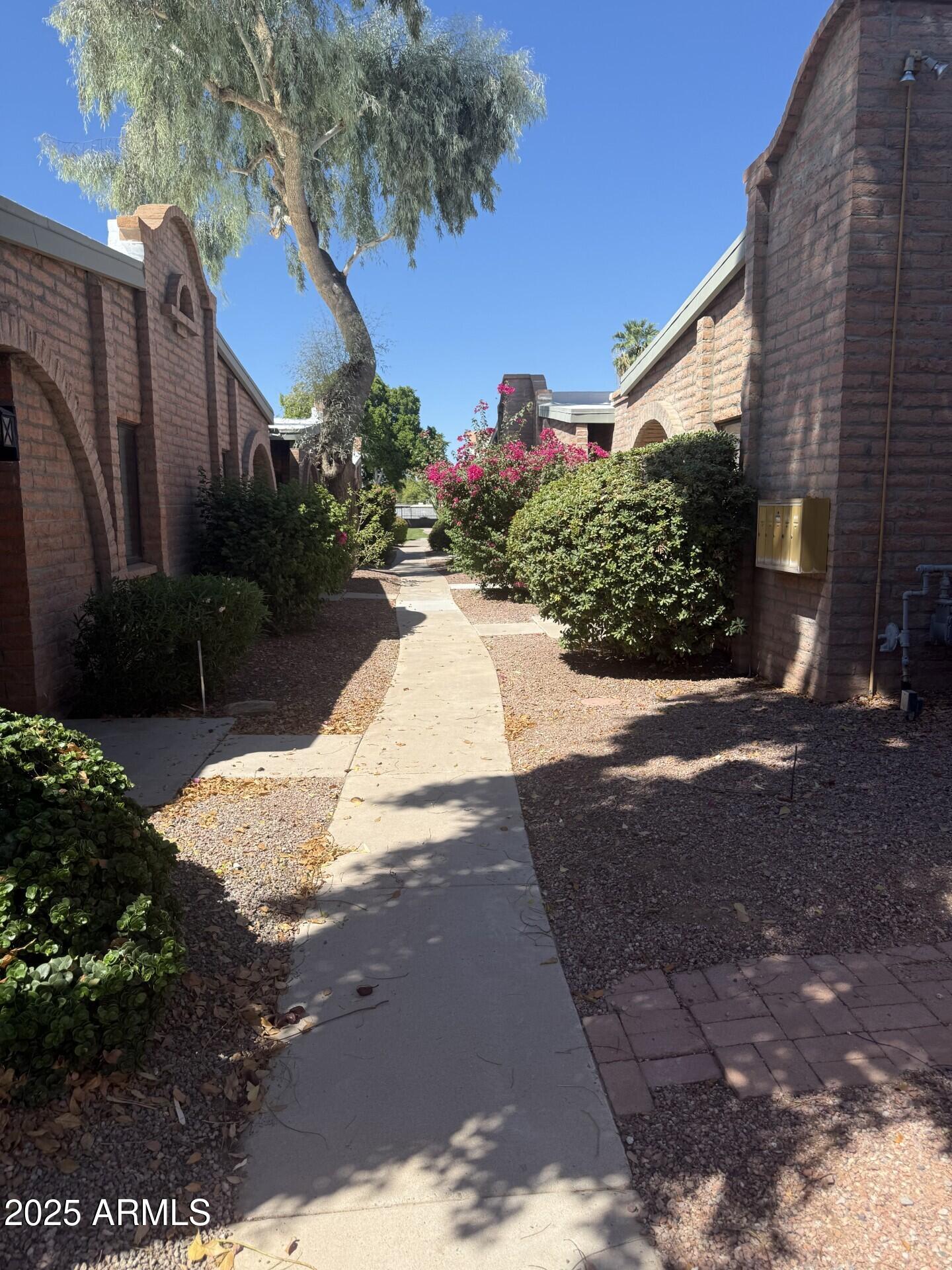 4414 East Hubbell Street, Unit 69 Phoenix, AZ 85008 - Photo 2 of 10 a view of a backyard with plants