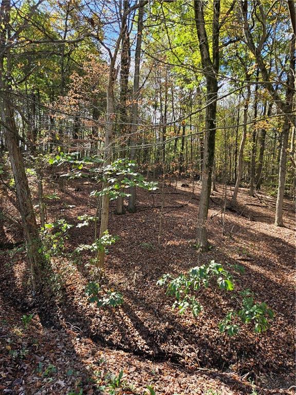 0 Ridge Road Darlington, PA 16115 - Photo 2 of 3 Gallery Image 2