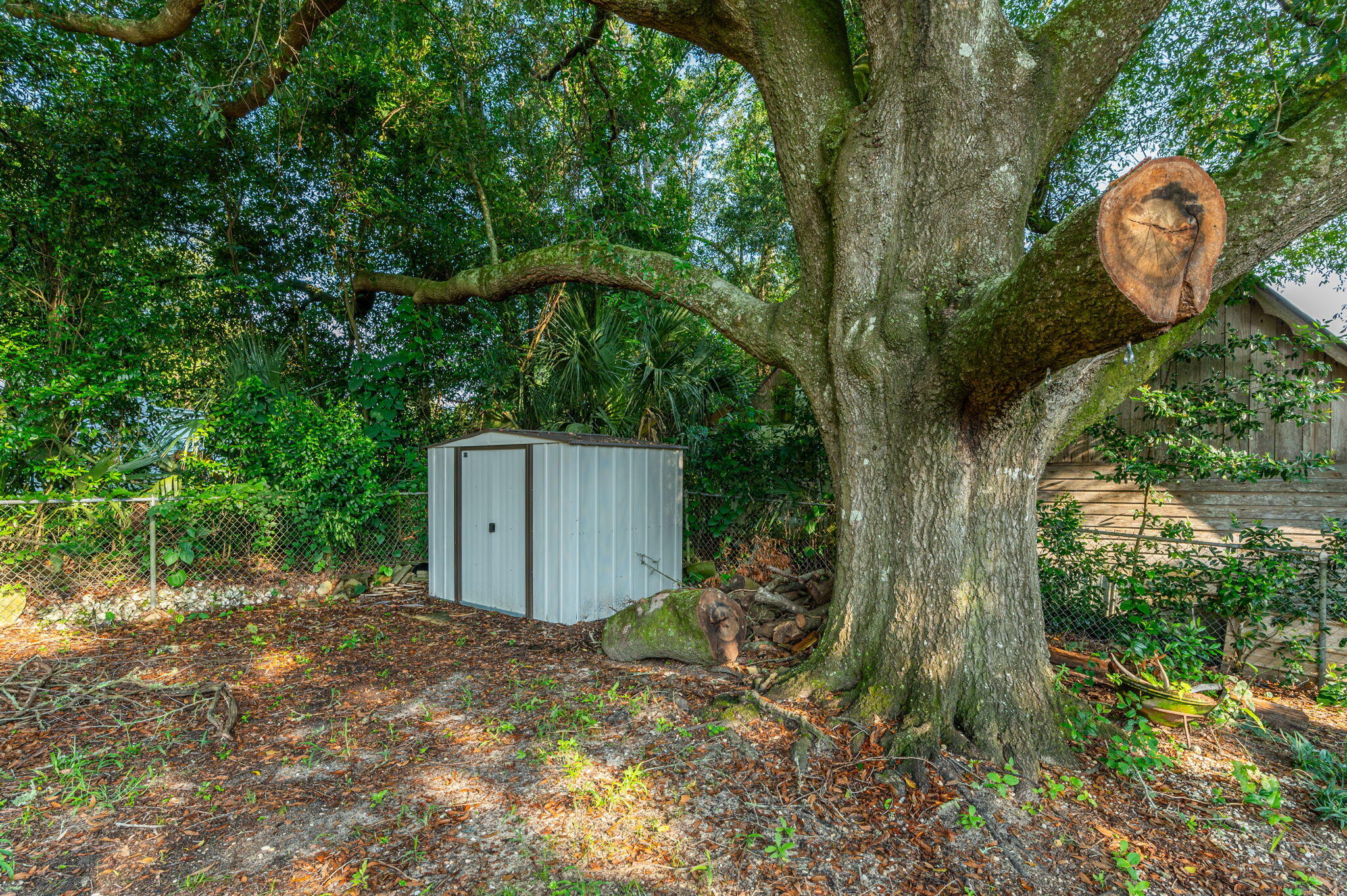 111 Sikes Drive Crestview, FL 32539 - Photo 42 of 46 a backyard of a house