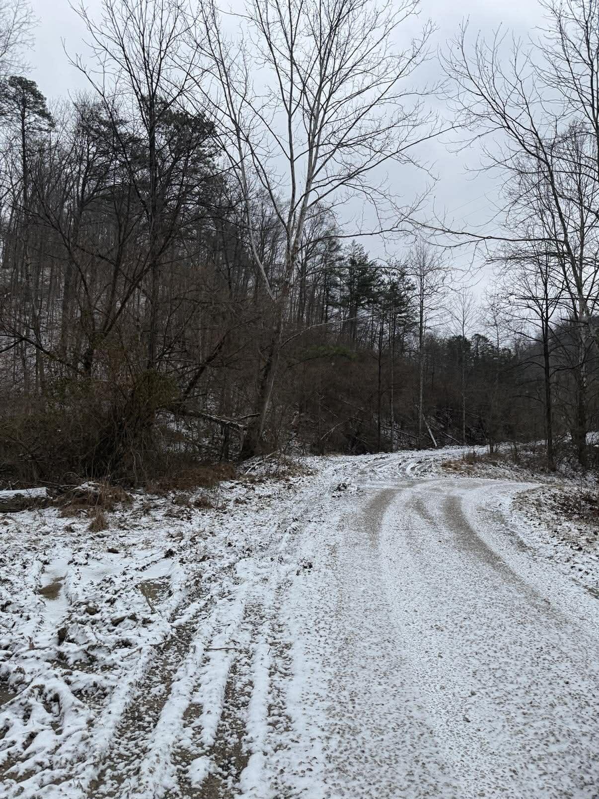 0 Brier Fork Road Isonville, KY 41149 - Photo 4 of 12 640465901_3330615977098277_3644282977354