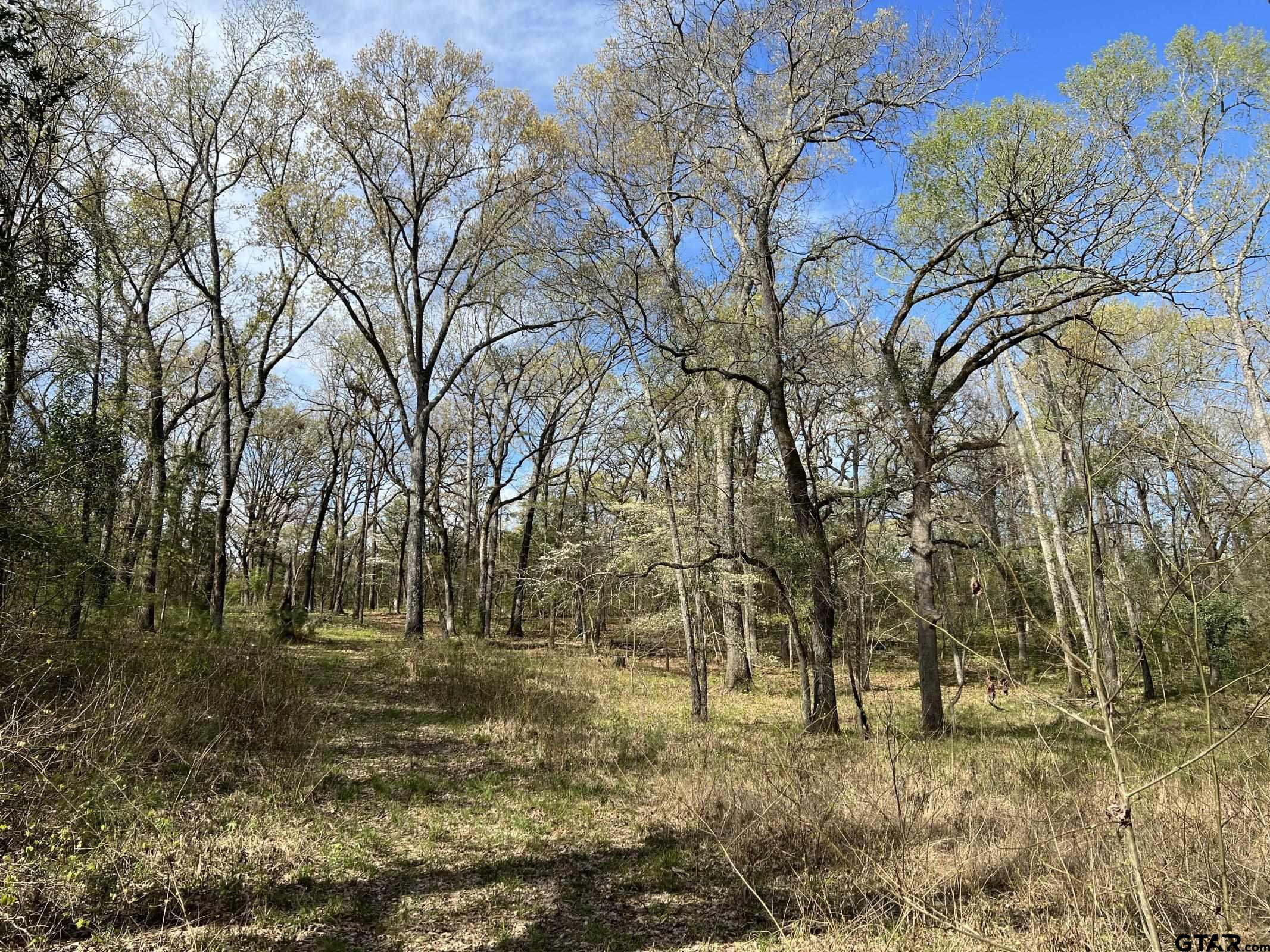 0 C R 434 Lindale, TX 75771 - Photo 8 of 29