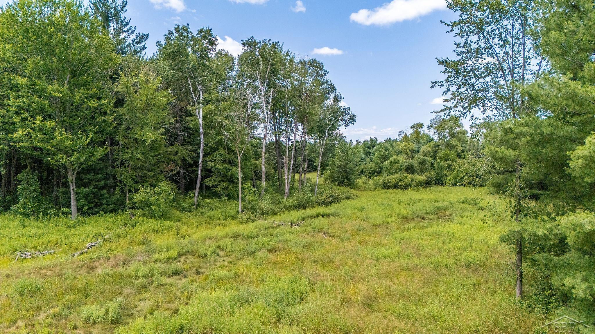 6323 Ward Road Sterling, MI 48659 - Photo 79 of 80 Gallery Image 79