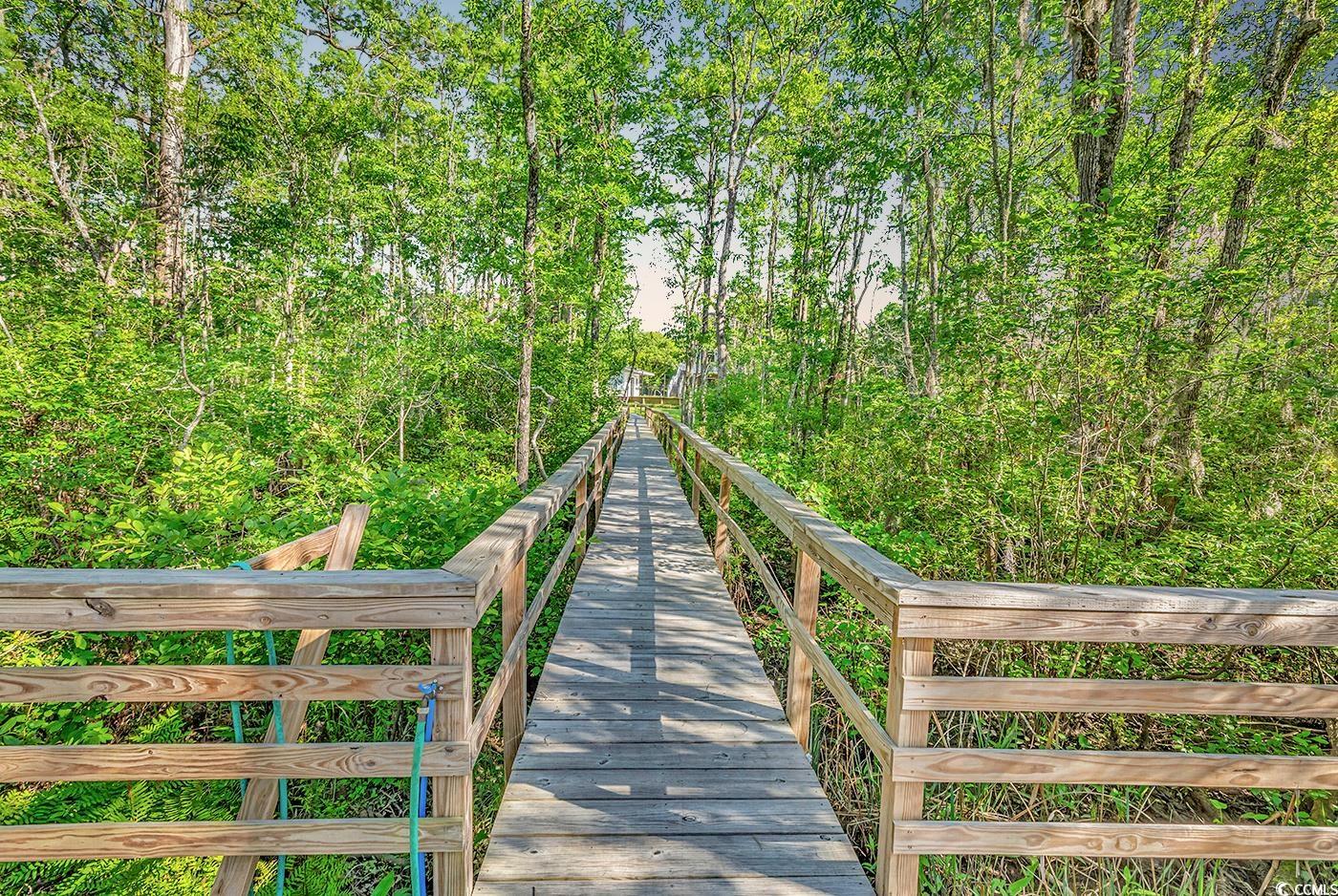 130 Hagar Brown Road Murrells Inlet, SC 29576 - Photo 11 of 40