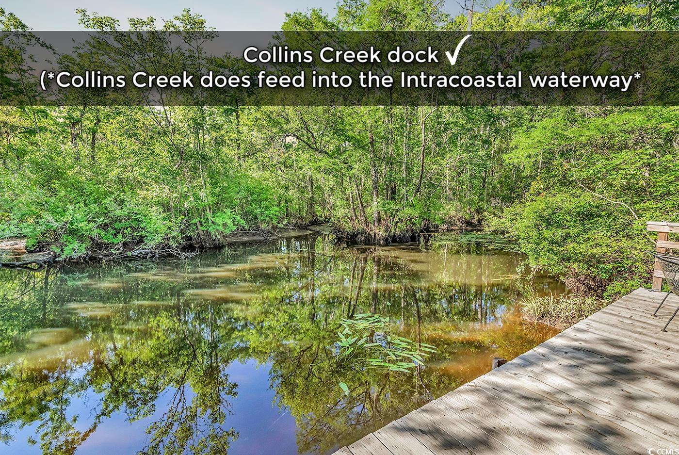 130 Hagar Brown Road Murrells Inlet, SC 29576 - Photo 8 of 40