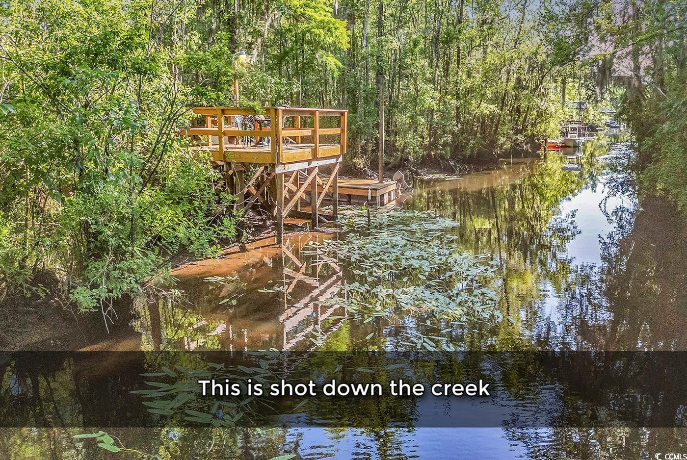 130 Hagar Brown Road Murrells Inlet, SC 29576 - Photo 9 of 40