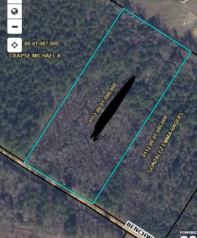 $72,000 | 0 Beason Road, Orangeburg, SC 29115