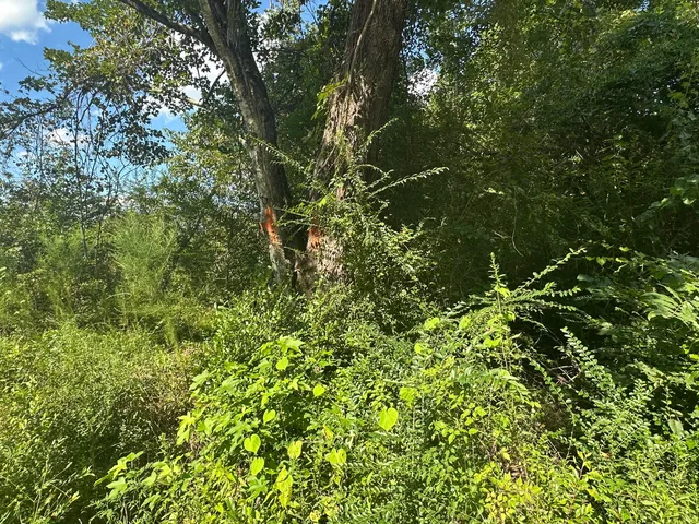 $72,000 | 0 Beason Road, Orangeburg, SC 29115