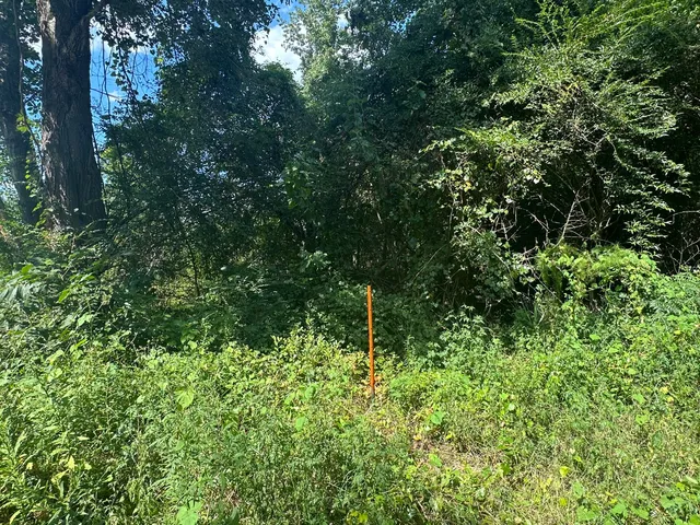 $72,000 | 0 Beason Road, Orangeburg, SC 29115