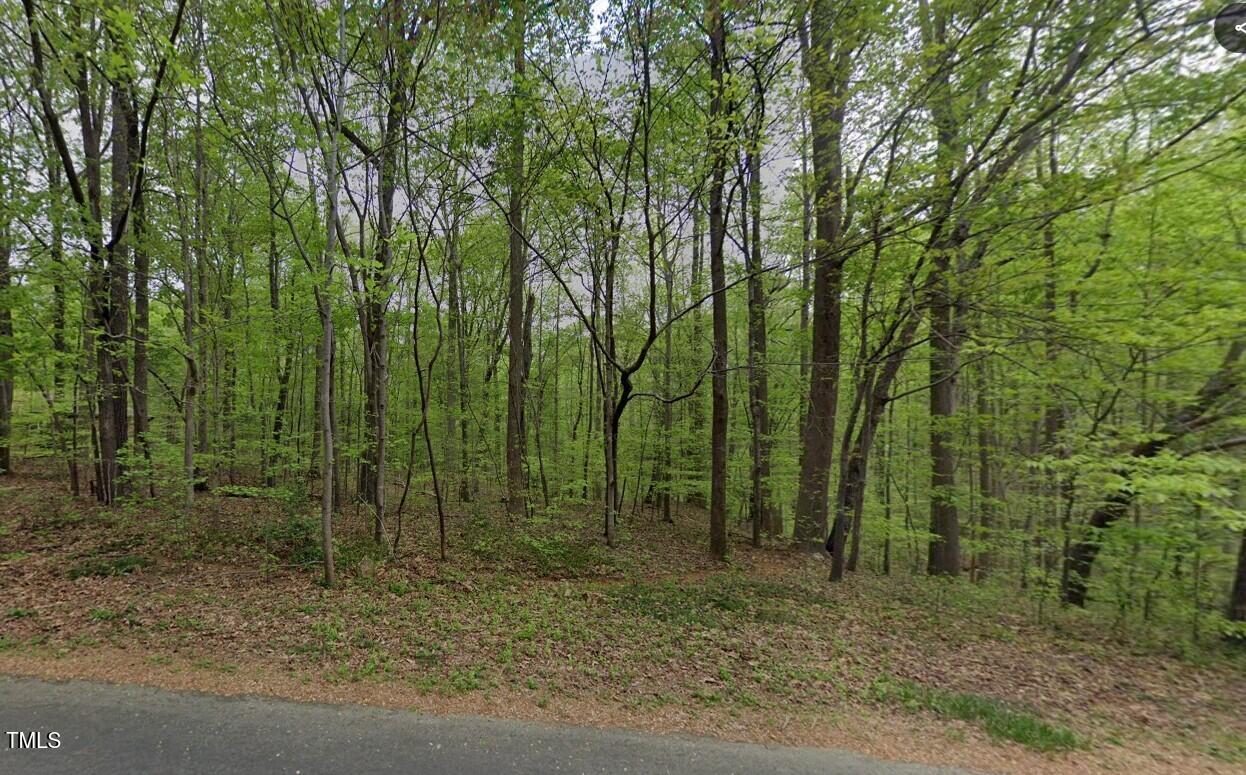 6017 Splitrock Trail Apex, NC 27539 - Photo 1 of 3 a view of a forest with trees
