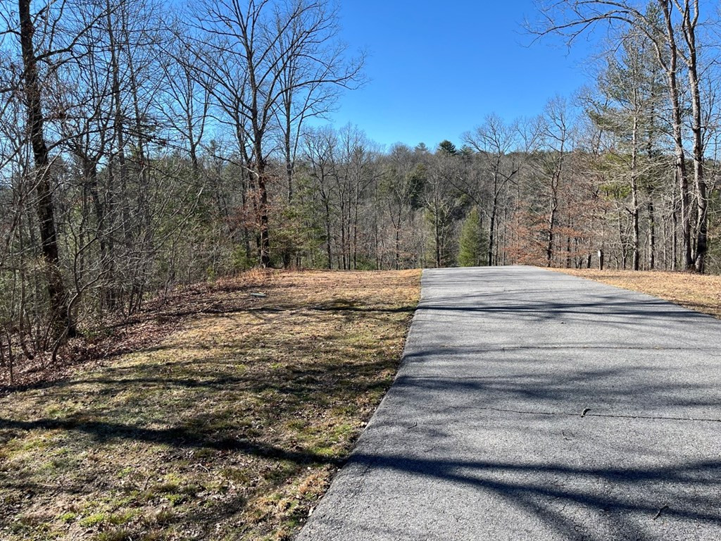 17 Fish Hawk Ridge Murphy, NC 28906 - Photo 2 of 6
