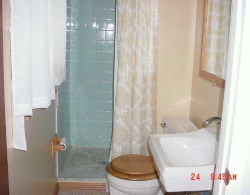 3054 Mt Troy Road Pittsburgh, PA 15212 - Photo 7 of 8 Master Bath/Spa.