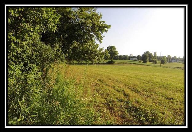 5470 Royalton Road Southwest Lancaster, OH 43130 - Photo 3 of 16