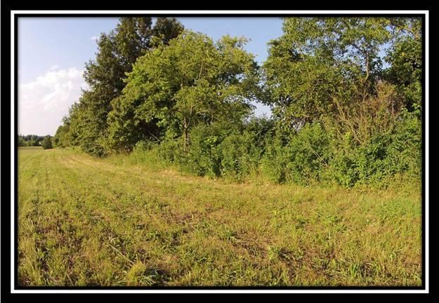 5470 Royalton Road Southwest Lancaster, OH 43130 - Photo 6 of 16