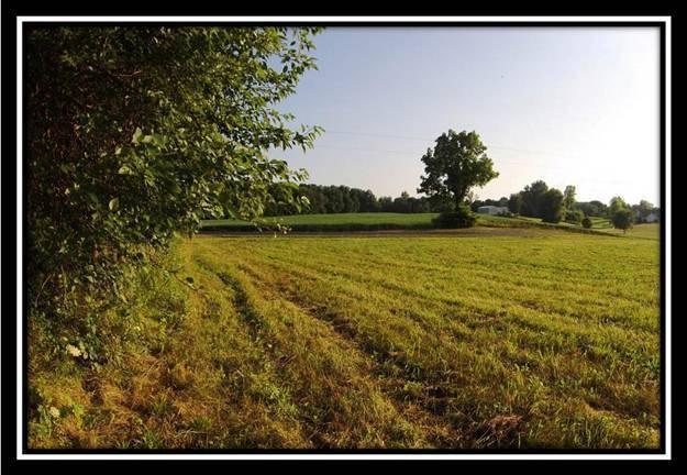 5470 Royalton Road Southwest Lancaster, OH 43130 - Photo 9 of 16