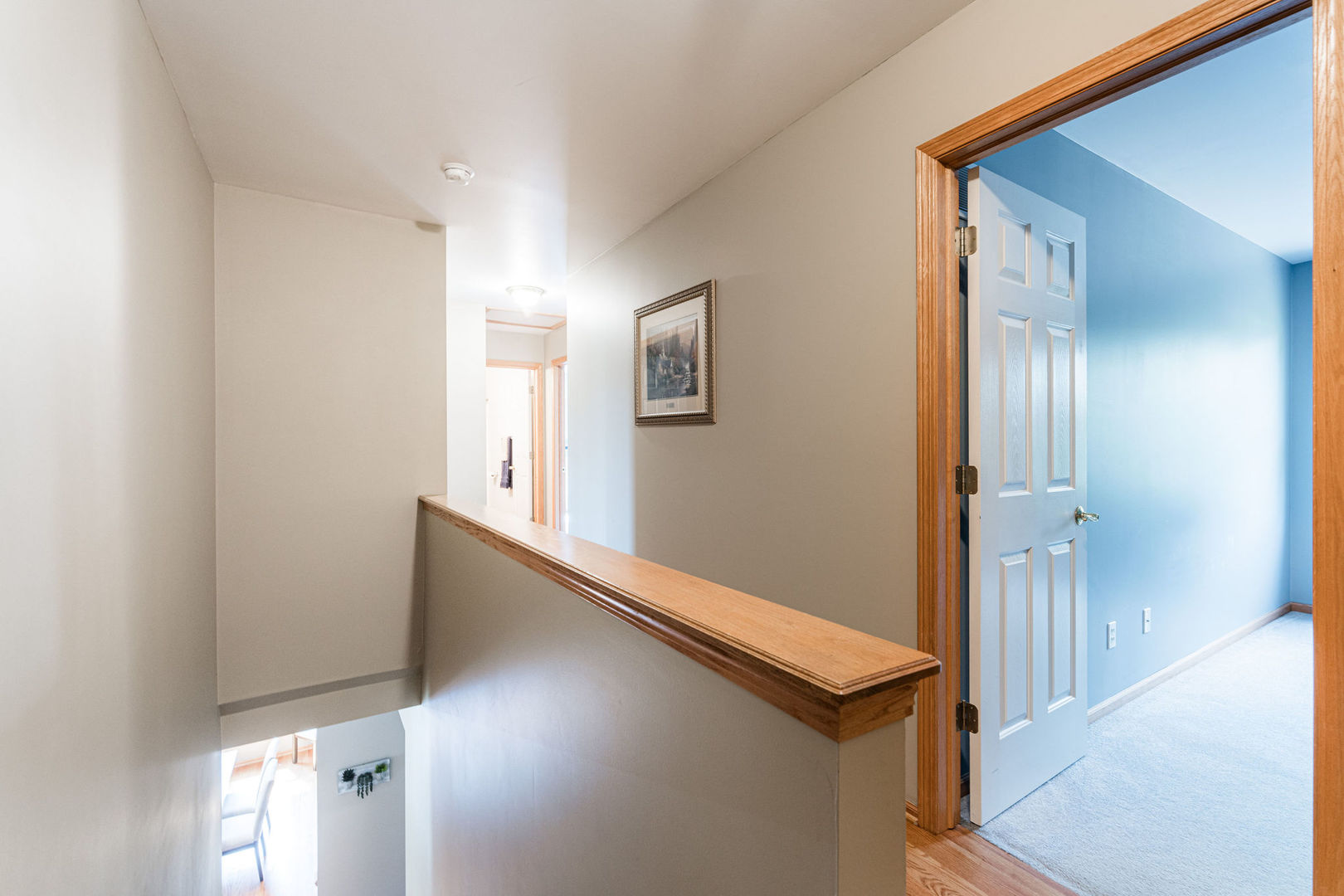 852 Ridge Drive Elburn, IL 60119 - Photo 19 of 47