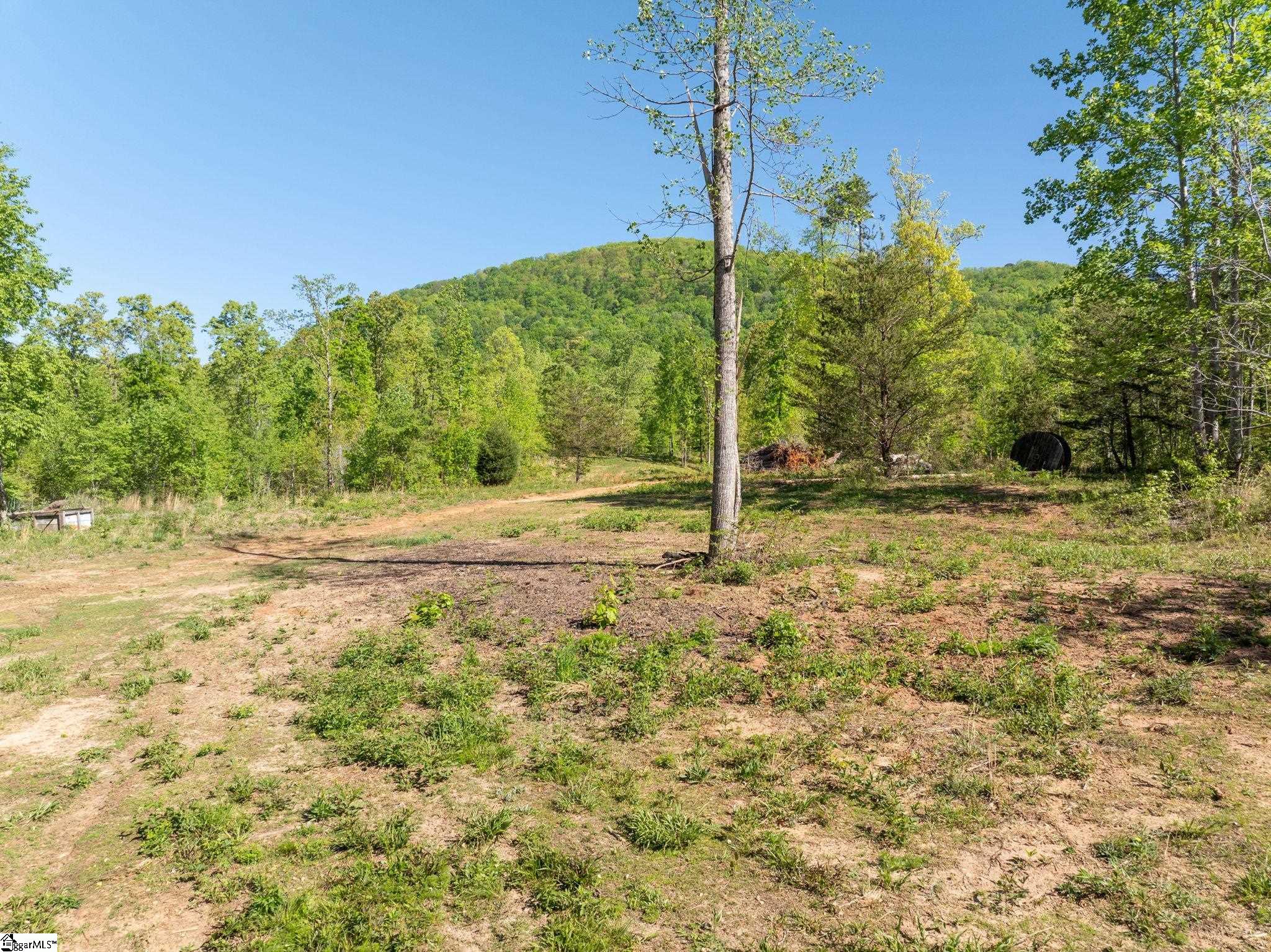 118 Harris Road Pickens, SC 29671 - Photo 12 of 26