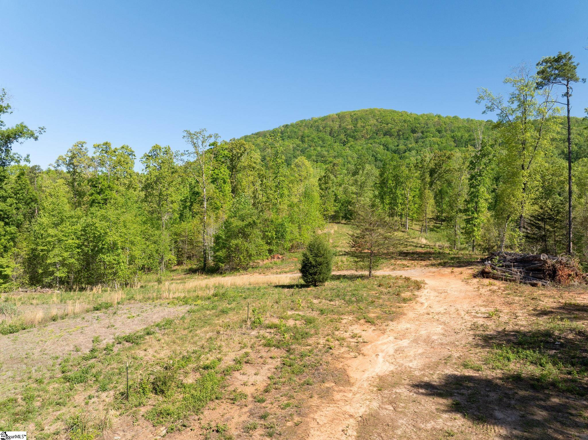 118 Harris Road Pickens, SC 29671 - Photo 13 of 26