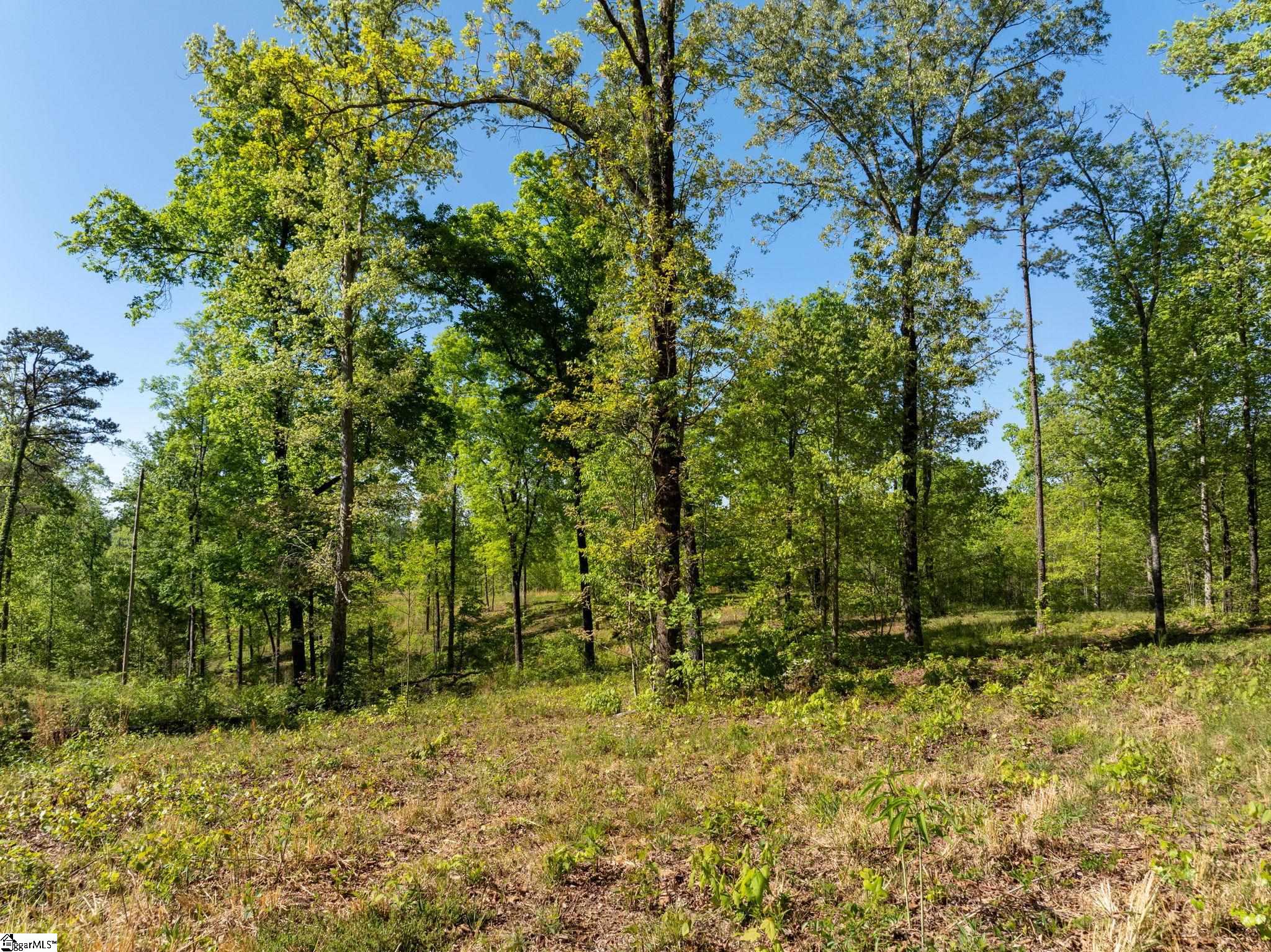 118 Harris Road Pickens, SC 29671 - Photo 24 of 26