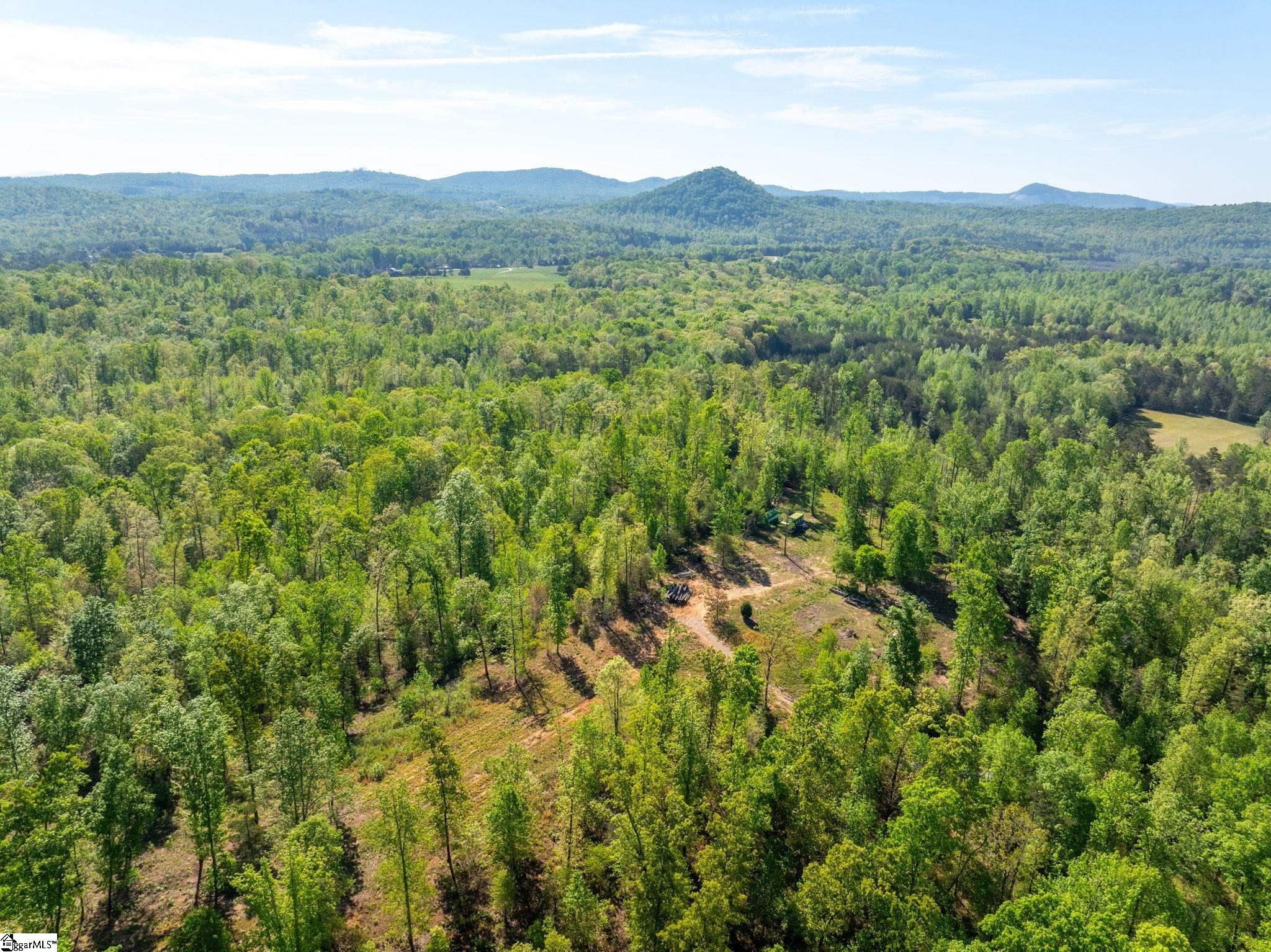 118 Harris Road Pickens, SC 29671 - Photo 8 of 26