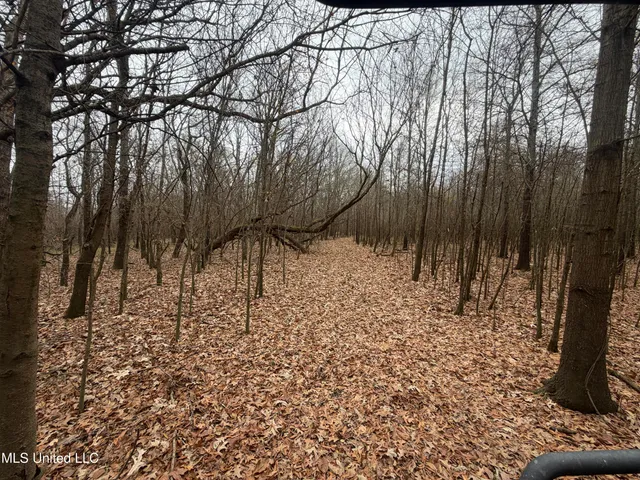 $485,000 | Gentry Road, Mound Bayou, MS 38762