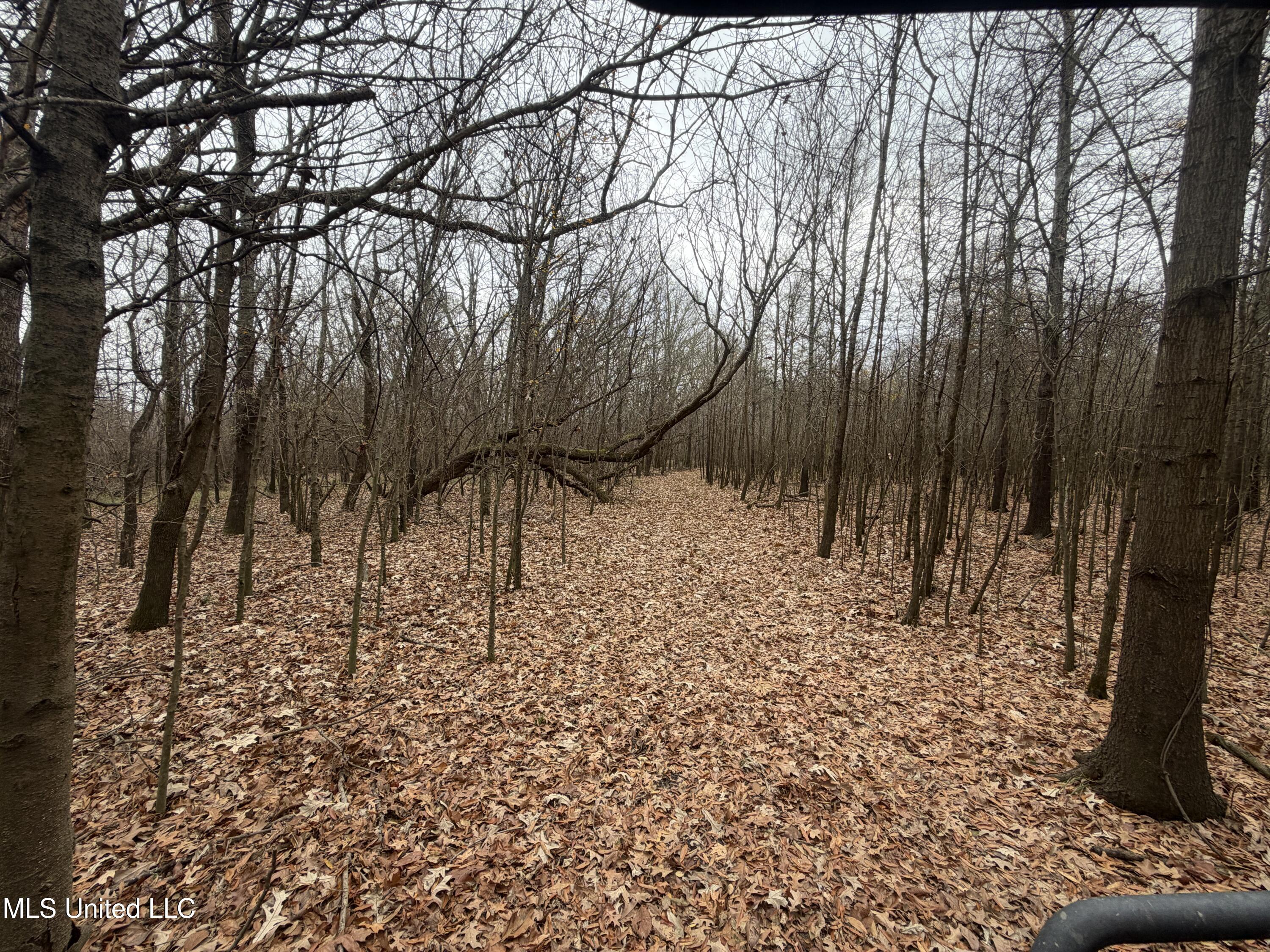 Gentry Road Mound Bayou, MS 38762 - Photo 11 of 68 IMG_1238