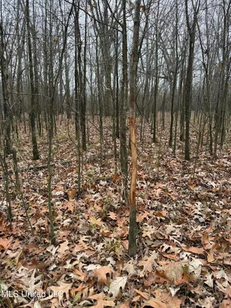 $485,000 | Gentry Road, Mound Bayou, MS 38762