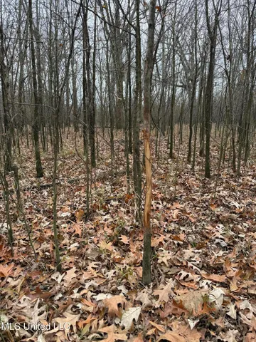 $485,000 | Gentry Road, Mound Bayou, MS 38762