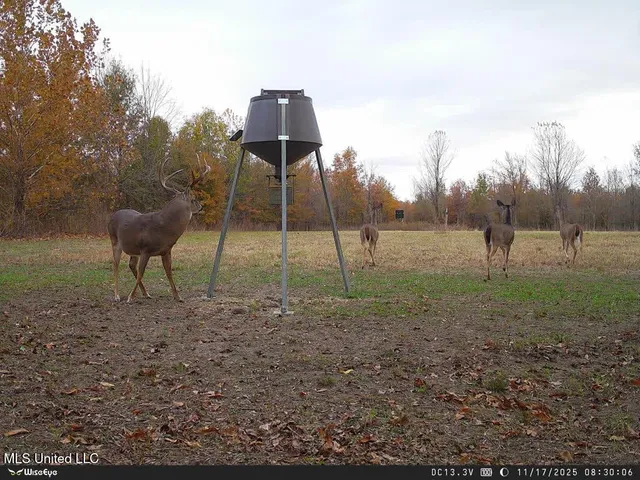 $485,000 | Gentry Road, Mound Bayou, MS 38762