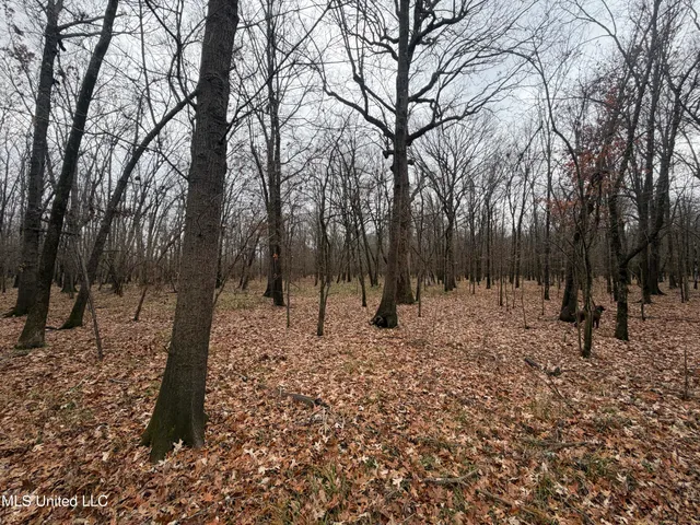 $485,000 | Gentry Road, Mound Bayou, MS 38762